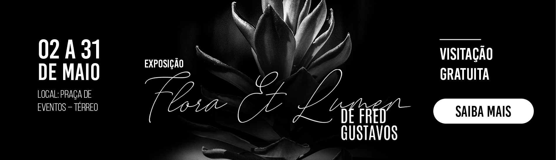 EXPO: 