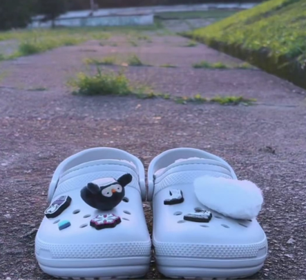LINED CLOG