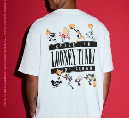 COLEÇÃO LOONEY TUNES