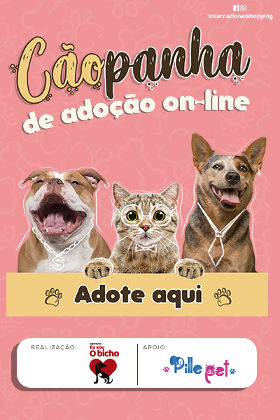 CãoPanha de Adoção On-line