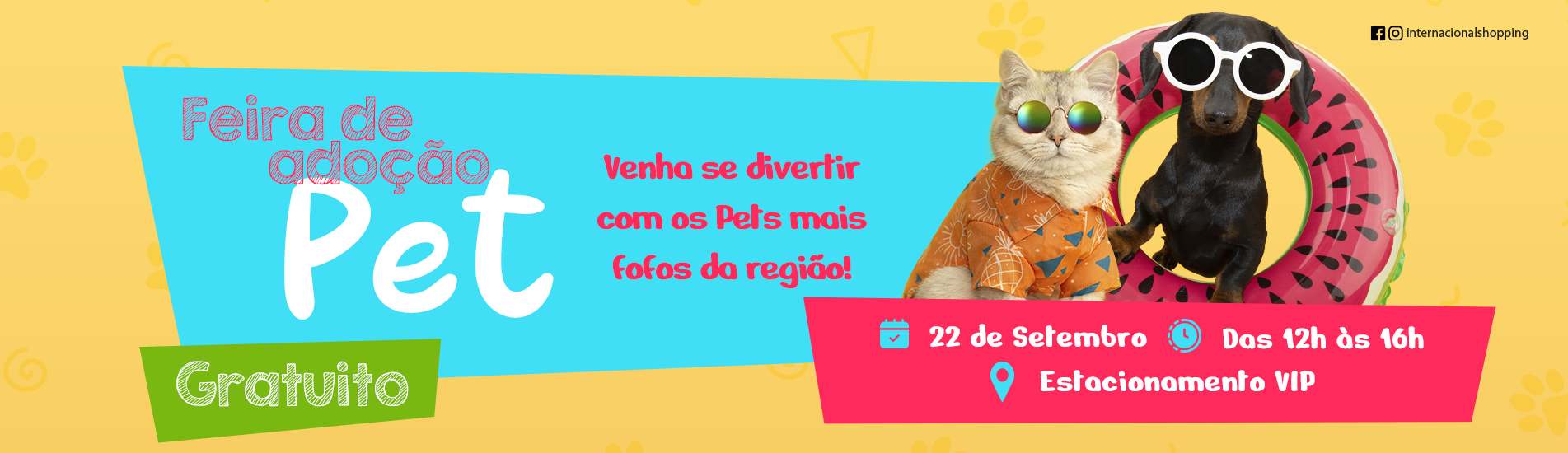 Feira de Adoção Pet