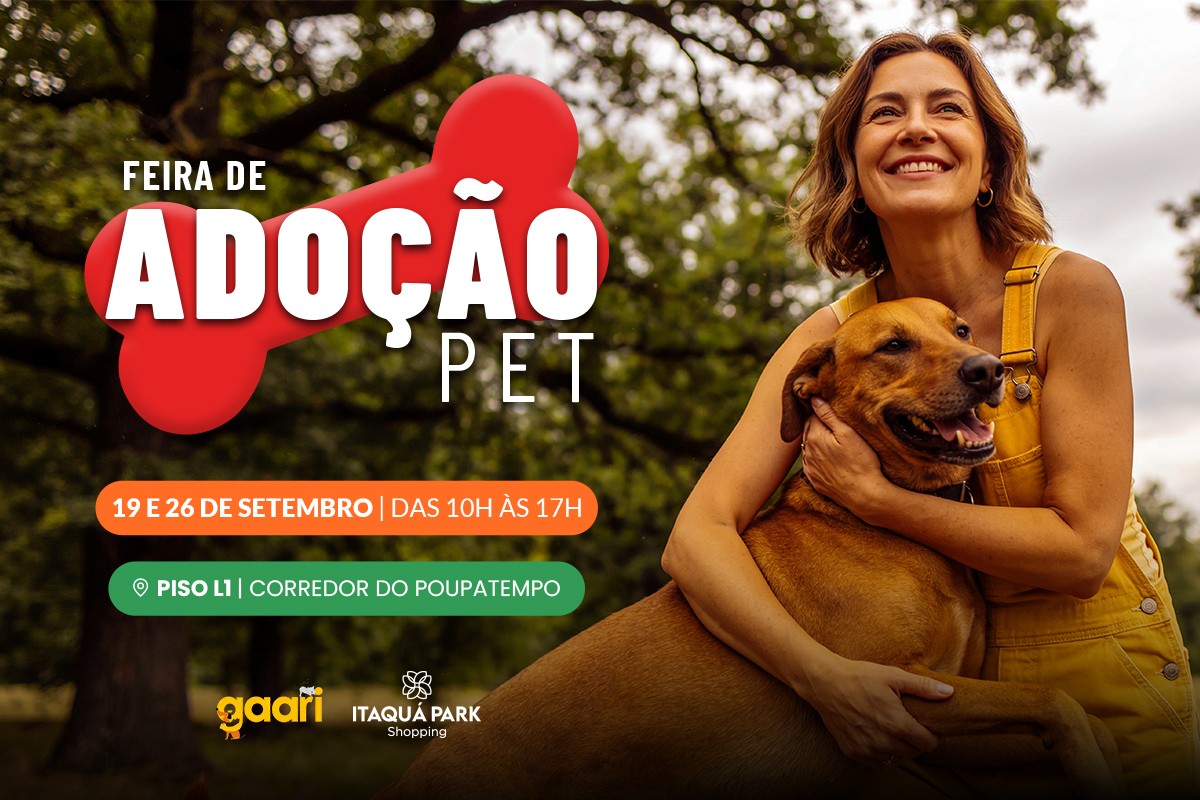 Feira Gaari