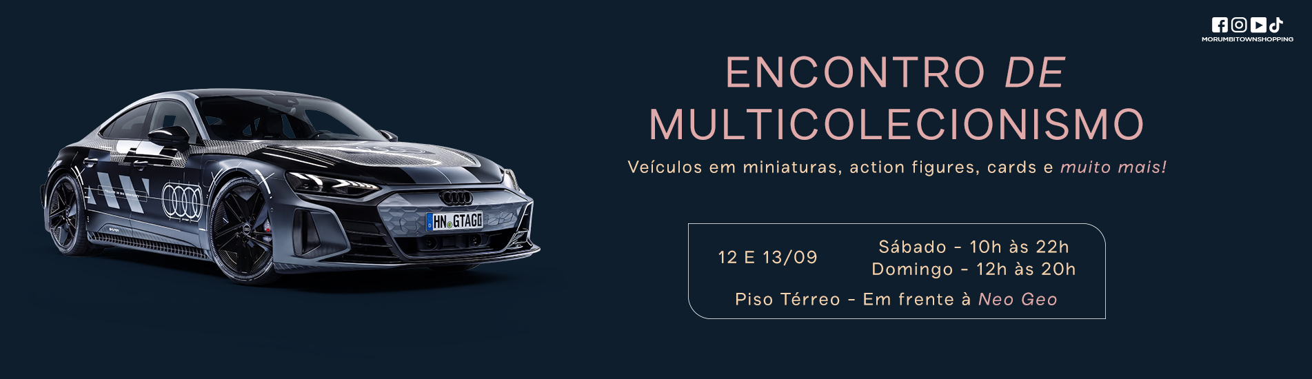 Encontro Multi colecionismo 