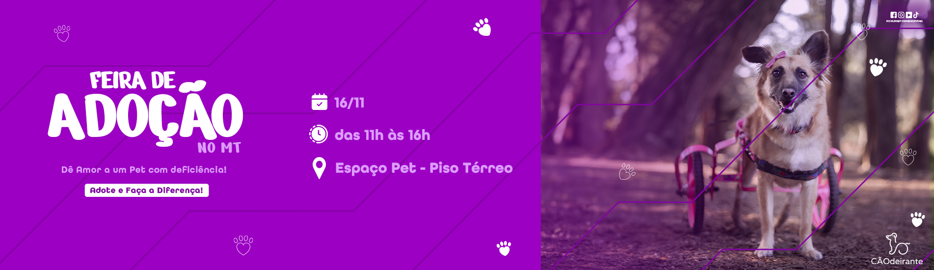 Evento de Adoção de Pets com Deficiência 