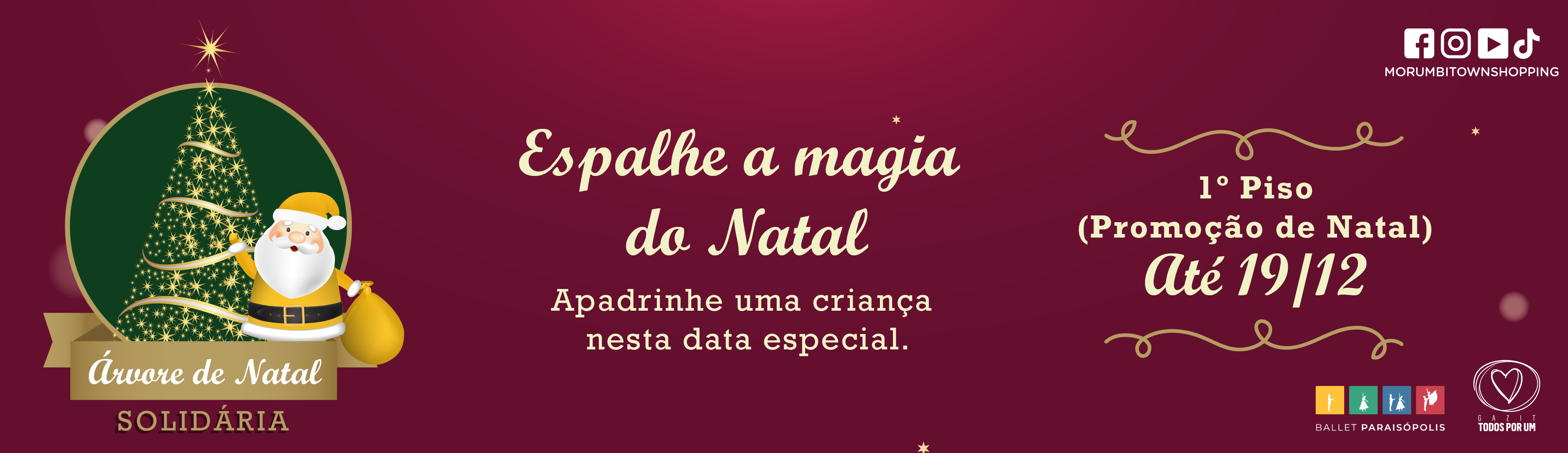 Árvore Solidária no MT 