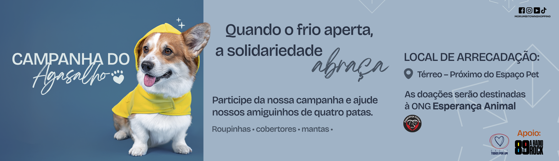Campanha do Agasalho Pet 2025 