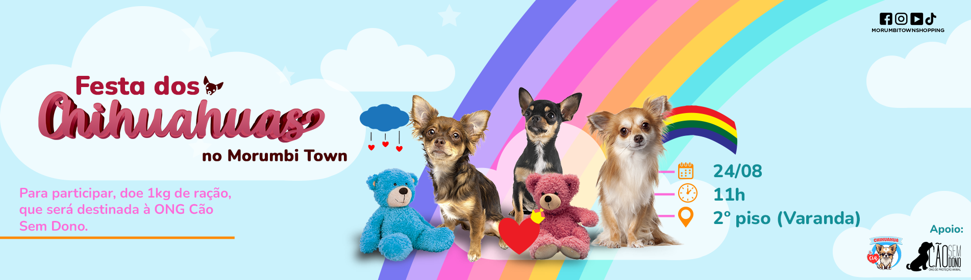 Encontro de Chihuahuas 