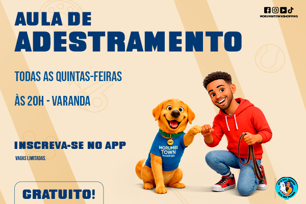Aula de Adestramento Pet