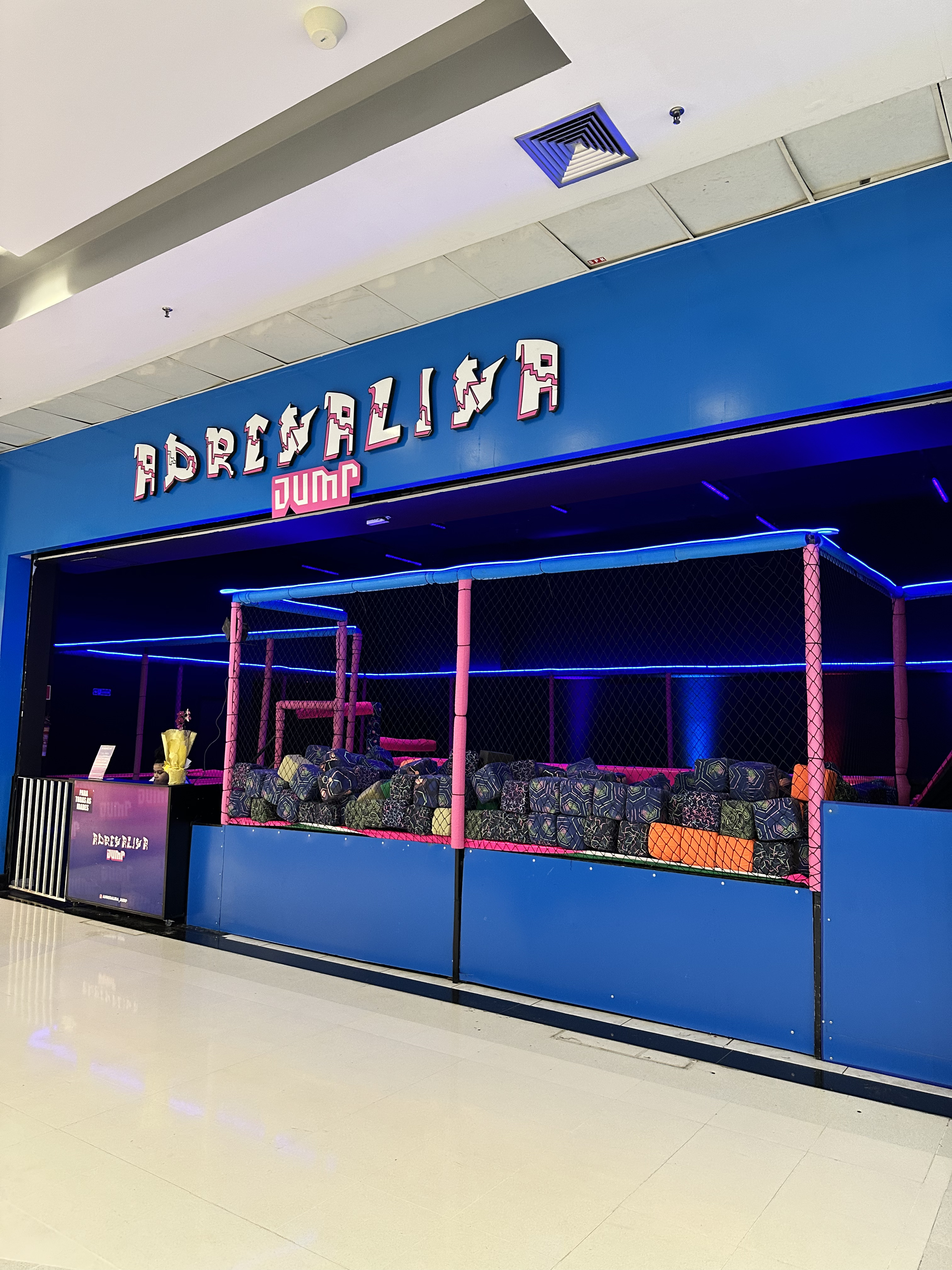 Logo da loja adrenalina jump