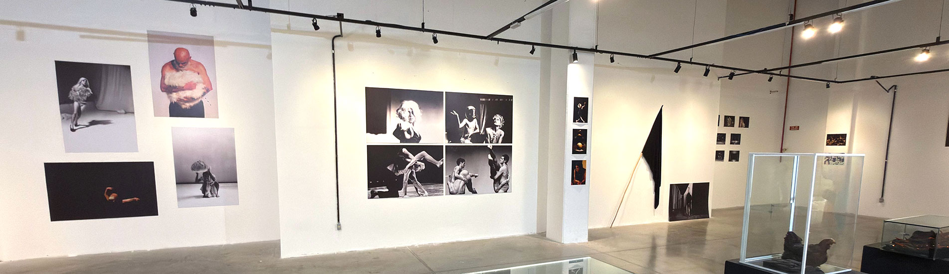 Marcelo Evelin apresenta exposição Demolition Incorporada no Teresina Shopping